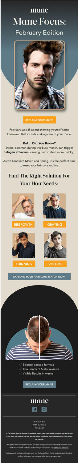 newsletter email campaign